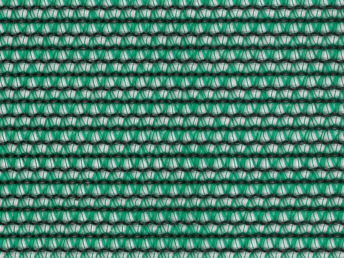 Carousel Image 6