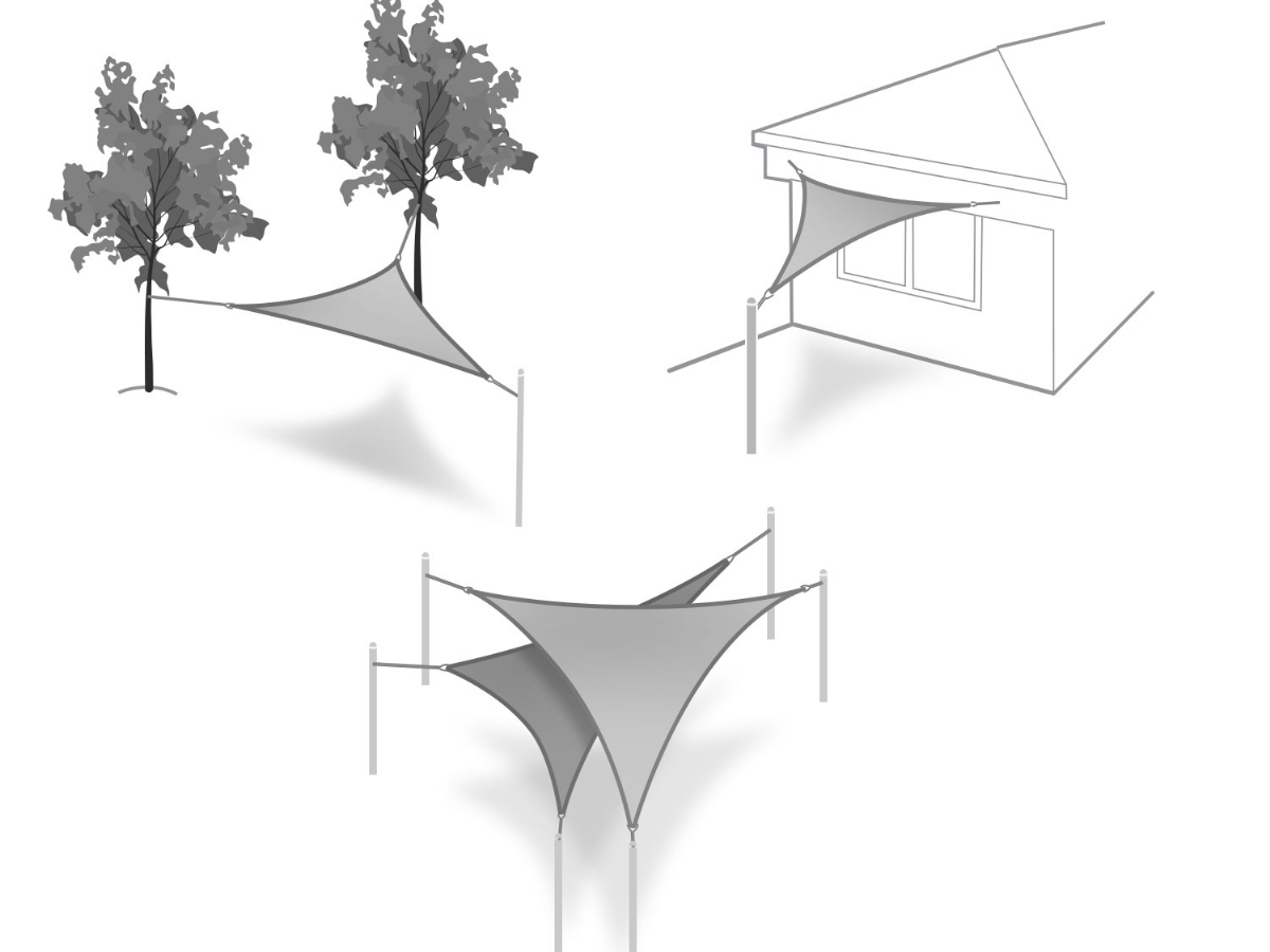 Carousel Image 6