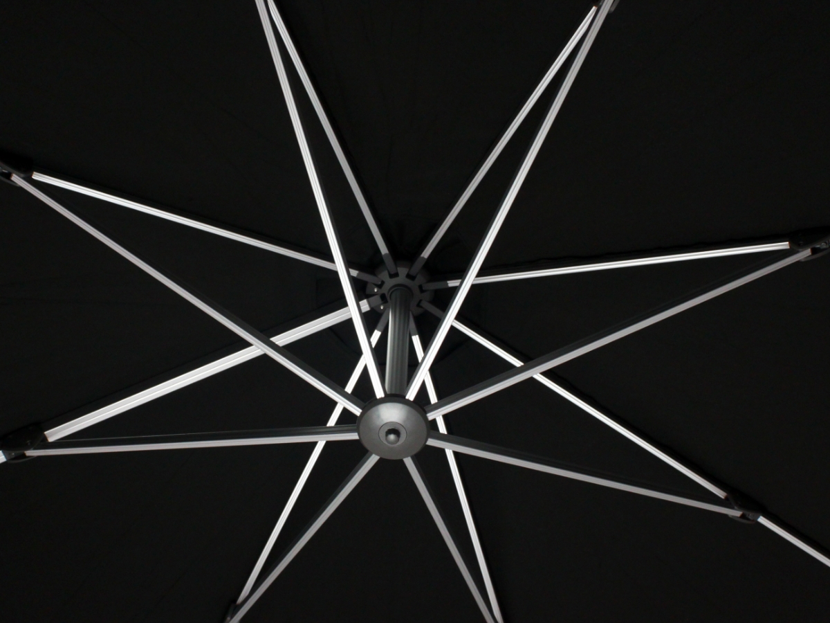 Carousel Image 2