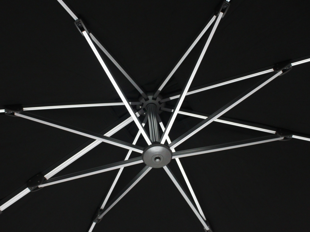 Carousel Image 2