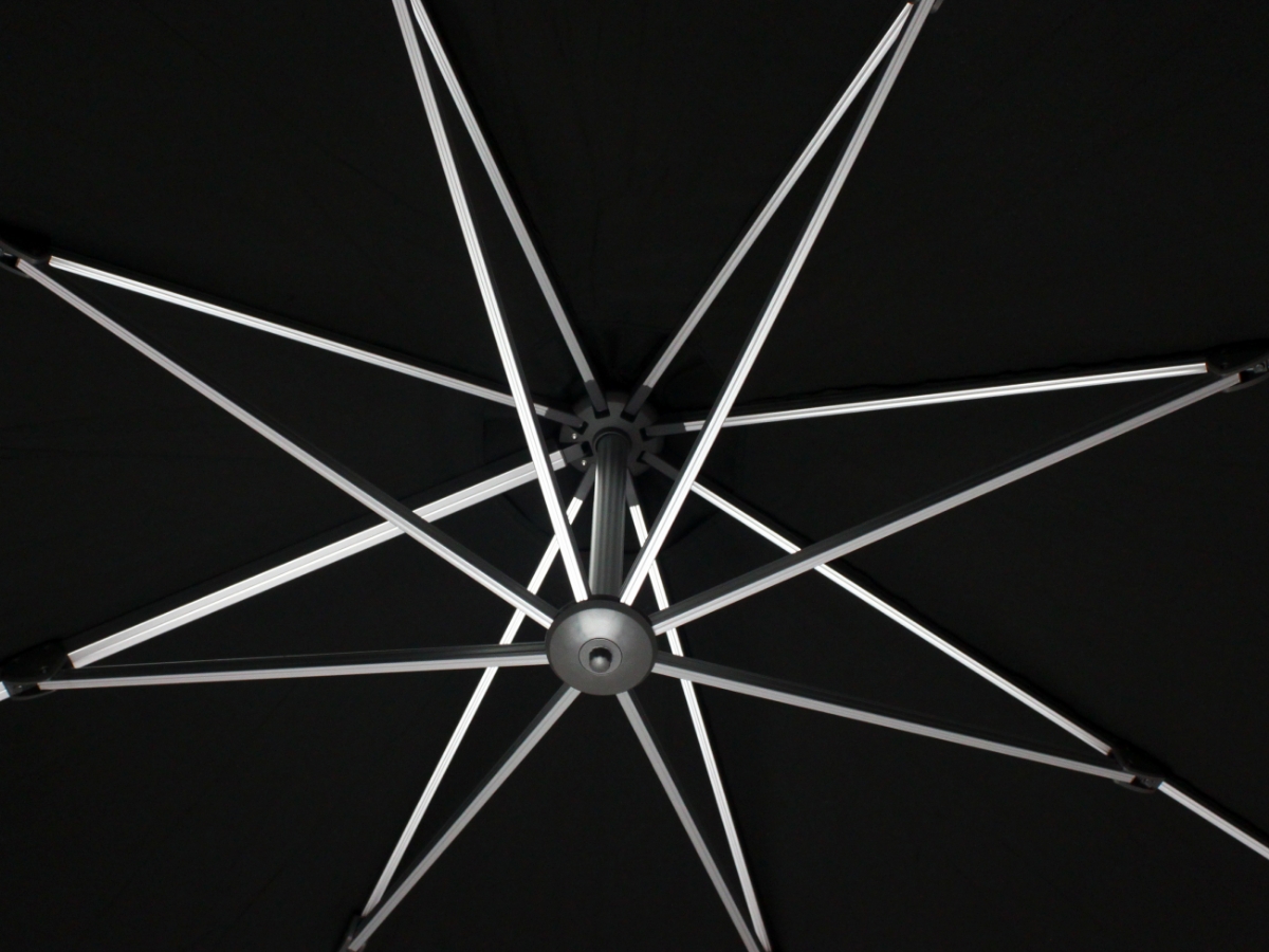 Carousel Image 2