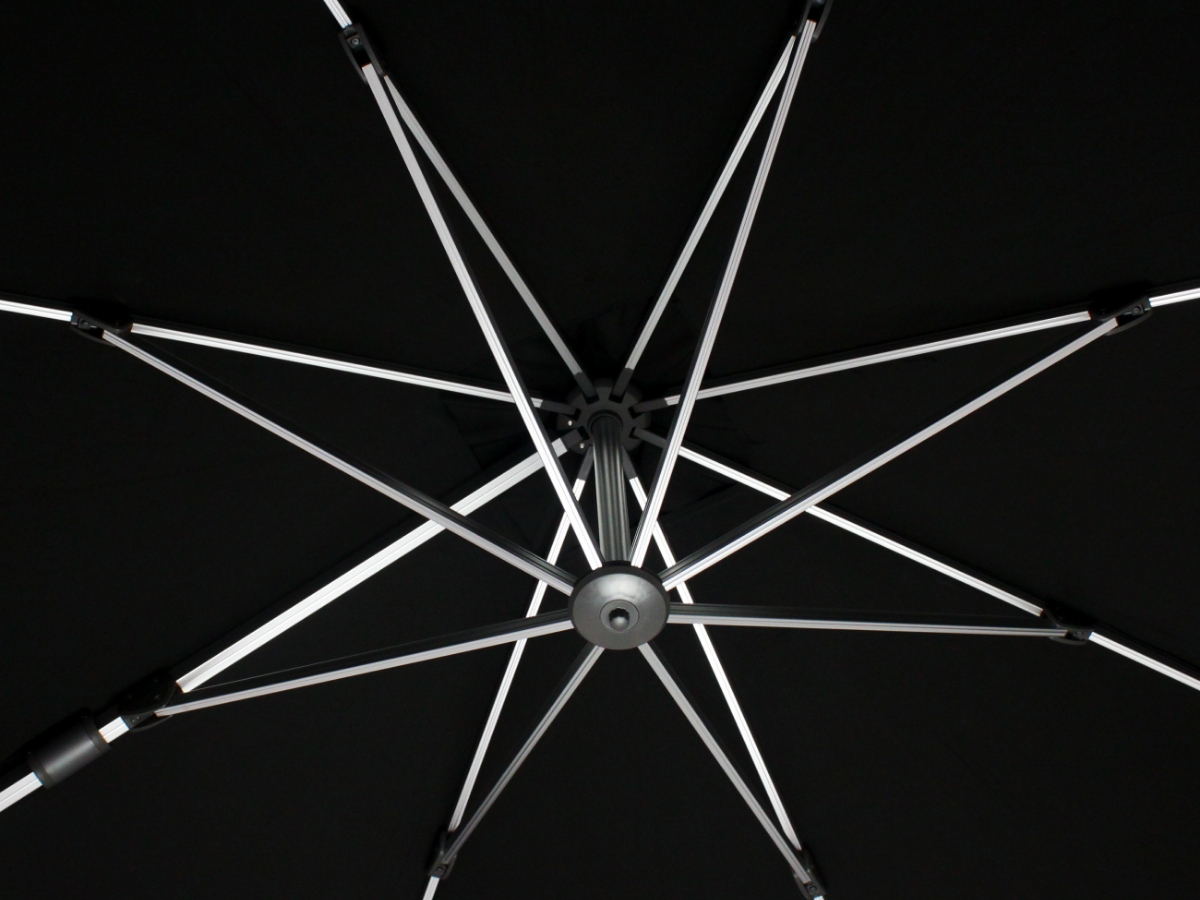 Carousel Image 2